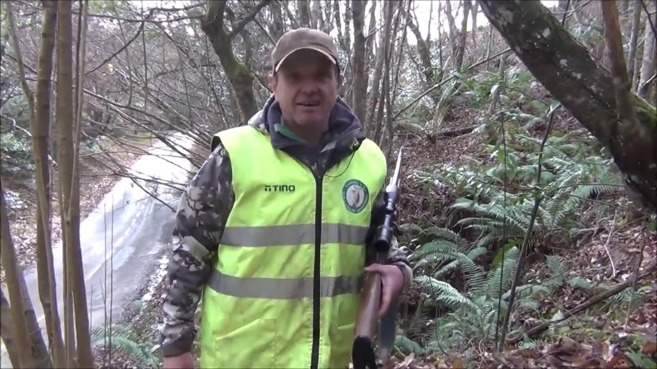 Cupo en Batida de Jabalí en Anayo, Piloña, Asturias Paraíso Natural, síguenos en nuestro canal Cupo en Batida de Jabalí en Anayo, Piloña, Asturias Paraíso Natural, síguenos en nuestro canal