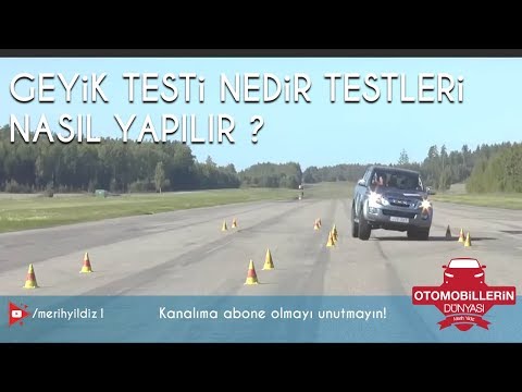 Geyik Testi Nedir Testleri Nasıl Yapılır?