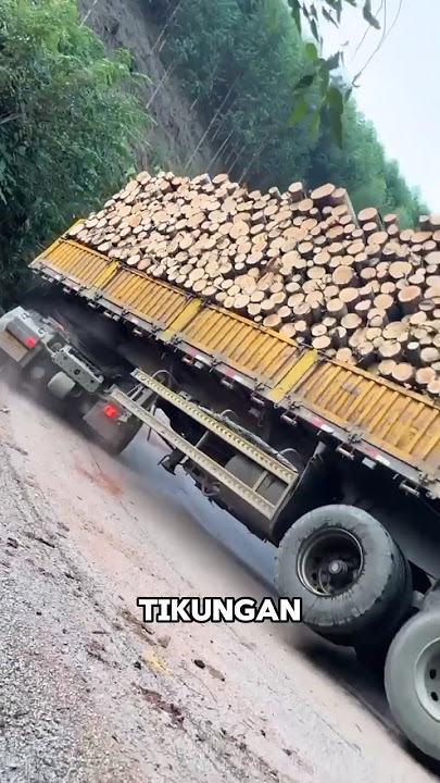 DETIK - DETIK TRUK BERMUATAN KAYU INI TERGULING SAAT MELEWATI TIKUNGAN YANG CURAM #shorts