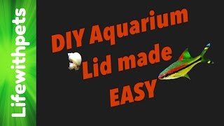 How to make an easy DIY Aquarium lid. The aquarium lid is simple to make. It