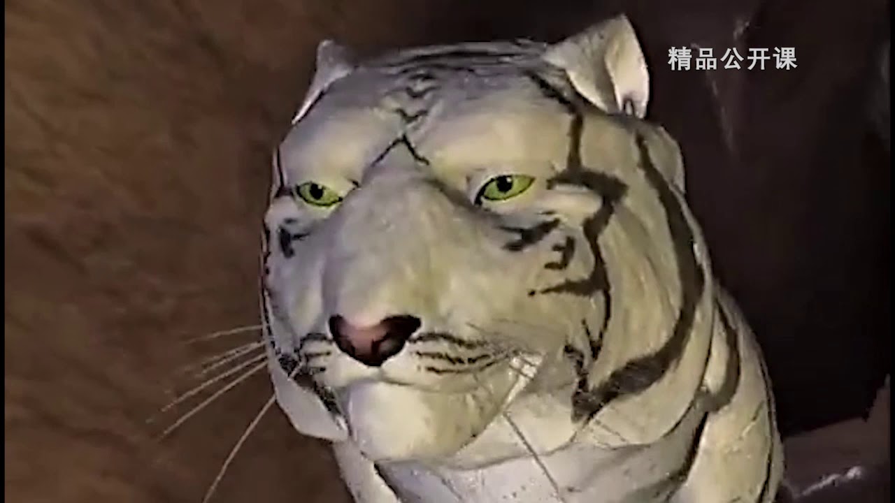 变形金刚之超能勇士 中文版 变身集锦混剪 Beast Wars:Transformers