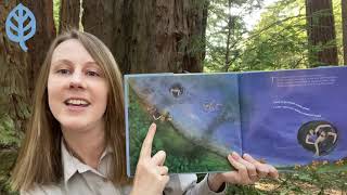Songs and Stories - The River Song