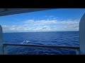 NCL Breakaway Day 7: Great Stirrup Cay.....just kidding!