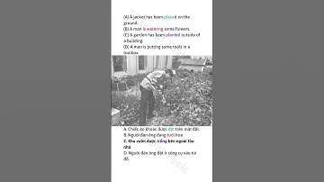 Luyện Nghe TOEIC - Part 1 - TEST 2 - ETS 2022