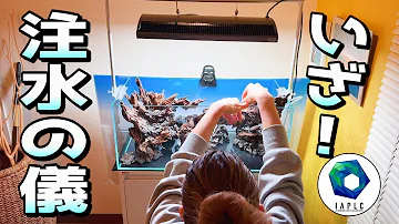 世界水草レイアウトコンテスト Iaplc 22 初挑戦の水槽立上げ その4 Mp3 世界水草レイアウトコンテスト Iaplc 22 初挑戦の水槽立上げ その4 Mp3