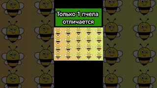 Only one bee is different #funny #trending #reels #тестнавнимательность #viral #reelsvideo #shorts