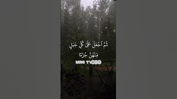 ماهر المعيقلي - سورة البقرة ( برواية حفص عن عاصم ) الأية 260