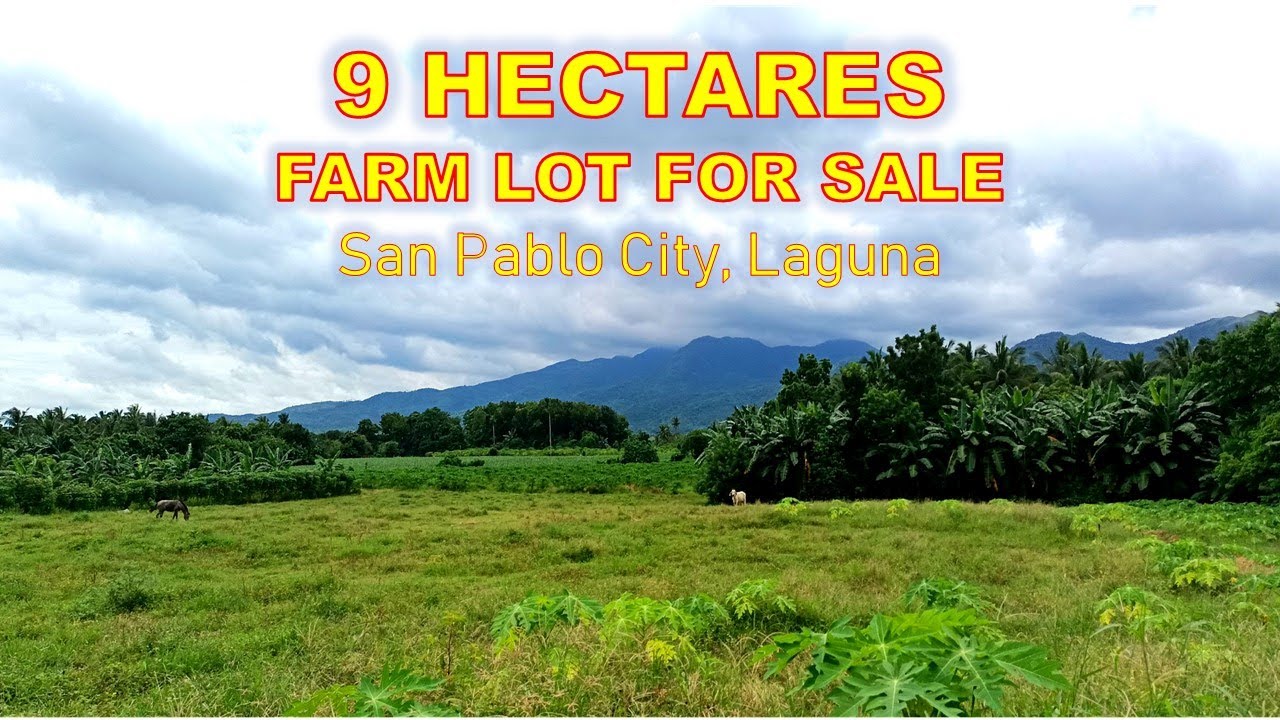 FARM LOT FOR SALE (PROP# 157) 9 HECTARES, SAN PABLO CITY, LAGUNA