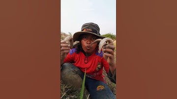 Simple Usefull Fishing  #diy #fishing #primitive #outdoor #bushcraft #camping #wildernes #wildlife