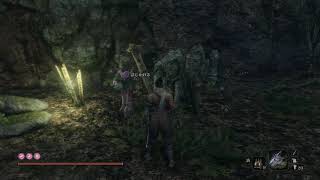 隻狼アプデ後あれこれ 穴からうどん ゲーム日記