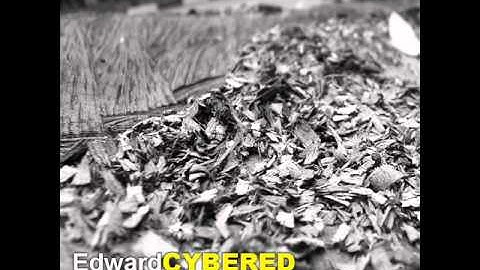 SMR030   Cybered & Opsy   Termites   Soundmute recordings