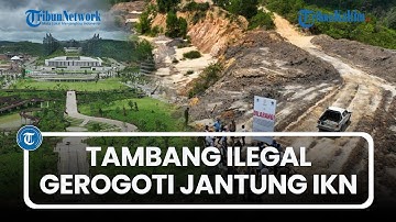 Tambang Ilegal Gerogoti Jantung IKN Nusantara, 4.000 Hektare Hutan Lindung Rusak Parah