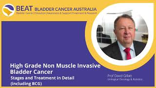High Grade Non Muscle Invasive Bladder Cancer: Stages and treatment including BCG