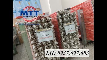 Ray điện an toàn 200A cho cầu trục