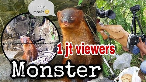 BERBURU GARANGAN!! MENEMUKAN MARKAS GARANGAN MONSTER