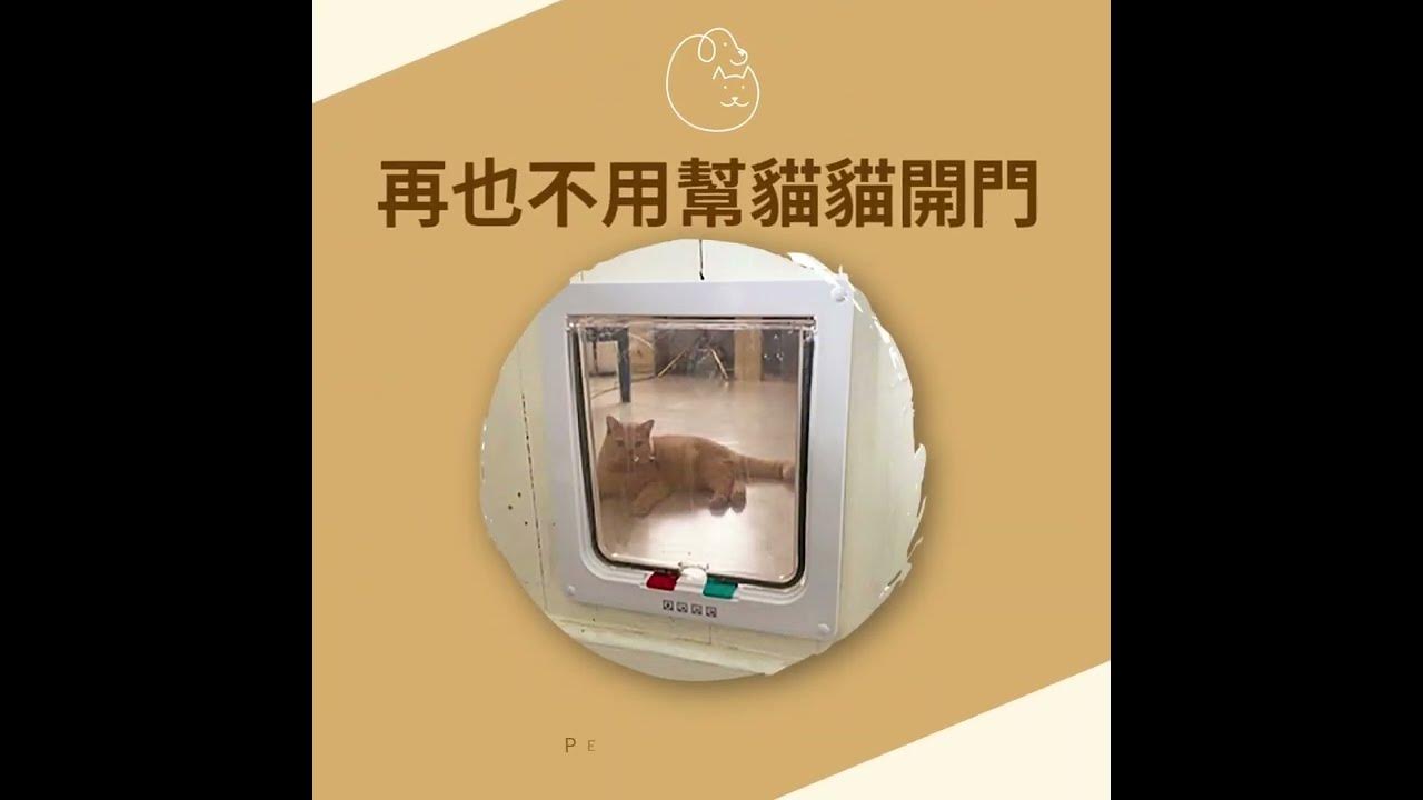 貓狗通用#寵物貓門連香港上門安裝(實木門安裝) #寵物門安裝#貓門安裝- YouTube 貓狗通用#寵物貓門連香港上門安裝(實木門安裝) #寵物門安裝#貓門安裝- Youtube