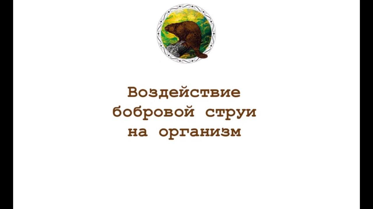 Воздействие бобровой струи на организм