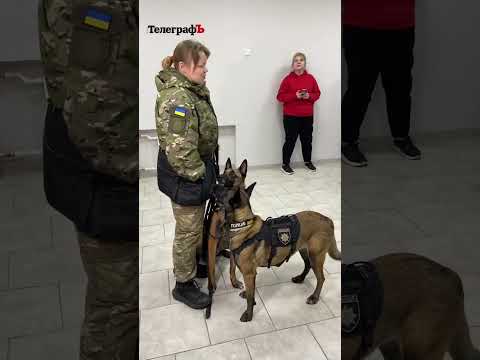 Кременчуцький ТелеграфЪ: У бібліотеці Кременчука поліцейські собакени позважили дітей