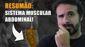O que se encontra no abdômen?