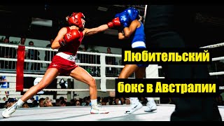 Любительский бокс в Австралии | Первый бой Грэйс