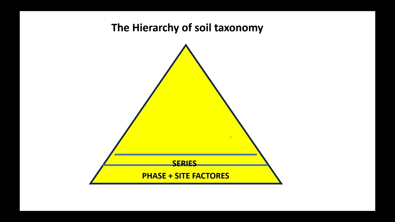 7th approximation comprehensive, Nomenclature & The Hierarchy of #soiltaxonomy #soa #soilscience