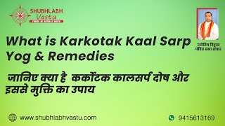What is Karkotak Kaal Sarp Yog & Remedies जानिए क्या है  कर्कोटक कालसर्प दोष और इससे मुक्ति का उपाय