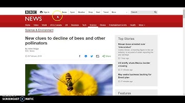 MLA Work Cited Electronic Source