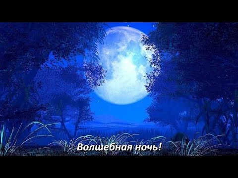 Алена Полынь: «Волшебная