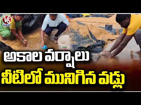 Unseasonal Rains Damage Crops, Farmers Suffer Heavy Losses | V6 News - V6NEWSTELUGU