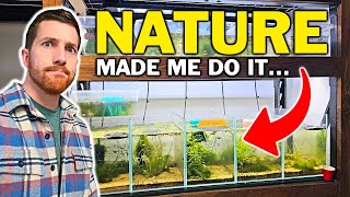 Why I'm Growing Aquarium Algae On PURPOSE...