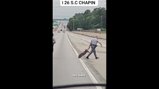 Hog-tied: Troopers chase down, rescue pig from becoming bacon on South Carolina interstate