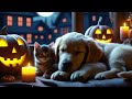 24 Hours of Calming Music for Dogs 🐶💖Deep Sleep & Stress Relief🎵💖Sleep dog Healing 💖No Ads #522