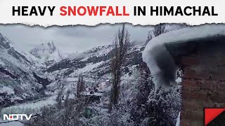 Snowfall In Himachal: Heavy Rain And Snowfall Forces Authorities To Close Shinku La Pass In Himachal