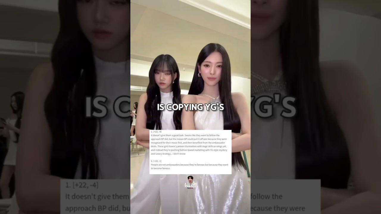 Мода важнее музыки? Корейские пользователи сети сомневаются в статусе амбассадоров MEOVV в сфере ...