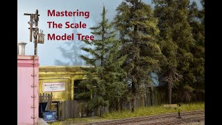 Celebrity HO Scale Model Tree | The Conifer Tree Final Profile