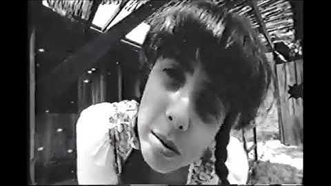 Meat Puppets - We Don