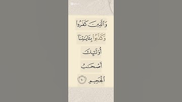 نور من القرآن: هداية وتأملات  #القرآن_الكريم #المصحف #تلاوة_خاشعة