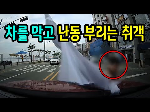 6333회. 저희 어머니와 누나 앞을 막고 셔츠로 차를 내려쳤습니다. 아침 7시랍니다.