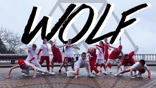 EXO 엑소 - 늑대와 미녀 WOLF  | 커버댄스 Dance cover by PHOENIX