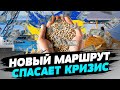 Ужасающий план России по ГОЛОДОВКЕ пошел на дно! УСПЕХИ экспорта зерна с Украины!