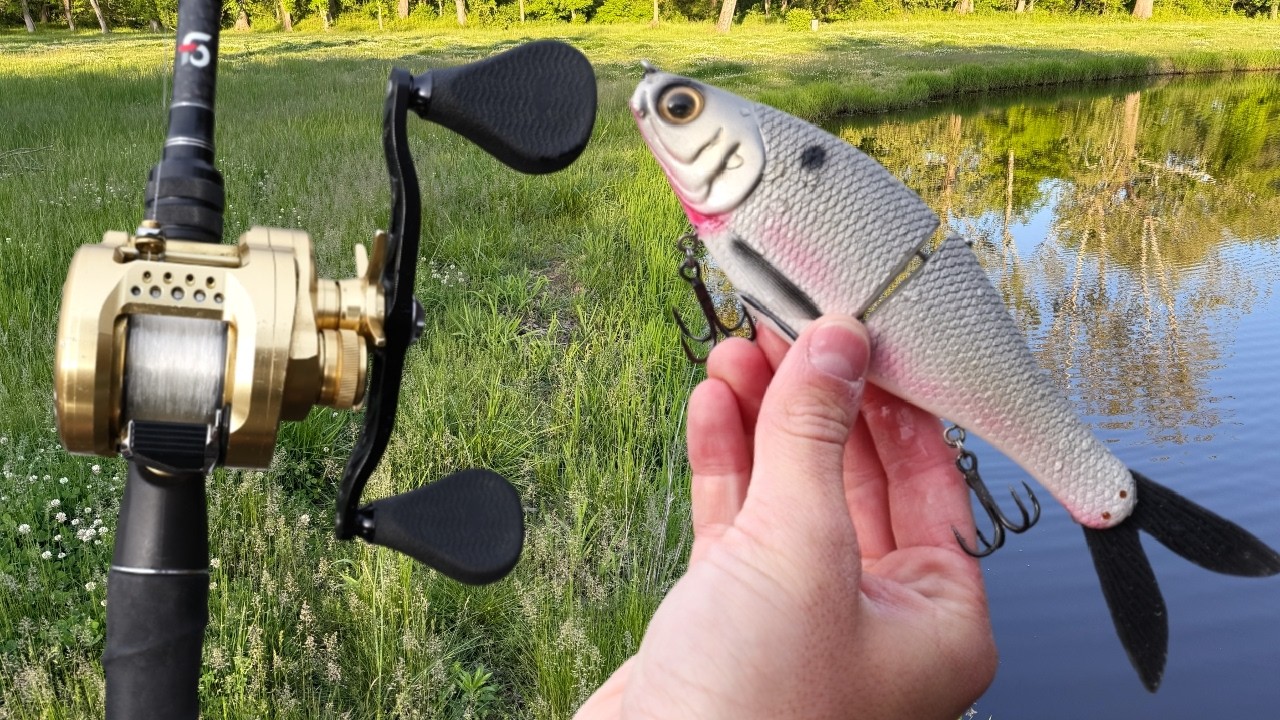 Воблер-свимбейт для ловли крупного зимнего окуня на мелководье!