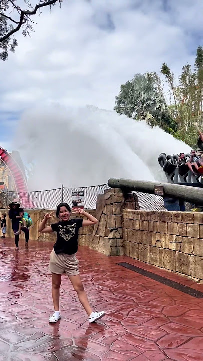 Montanha-russa SheiKra do Busch Gardens Tampa #parquedediversoes #adrenalinejunkie #themepark