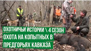 Охотничьи истории. Сезон 4. Охота на копытных в предгорьях Кавказа Охотничьи истории. Сезон 4. Охота на копытных в предгорьях Кавказа
