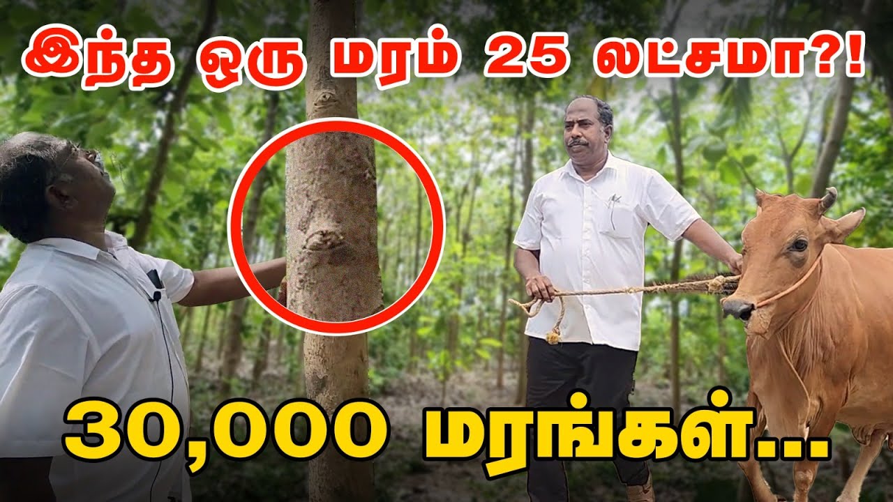 Inspiring Farmer -  25 ஏக்கரில்  50 மாடுகள், 100 கோழிகள், 30,000 மரங்கள்!