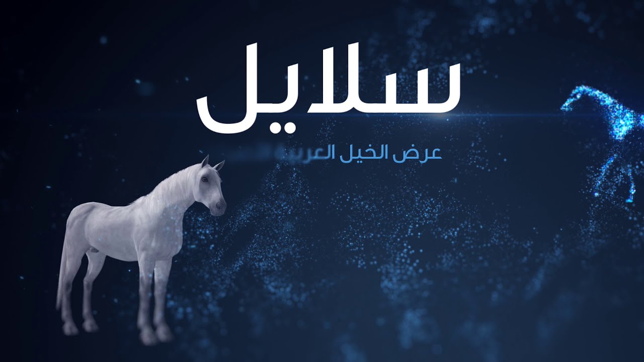 Horse Auctions and Horse Sales _ De Shazer Arabian | SALAYEL Arabian