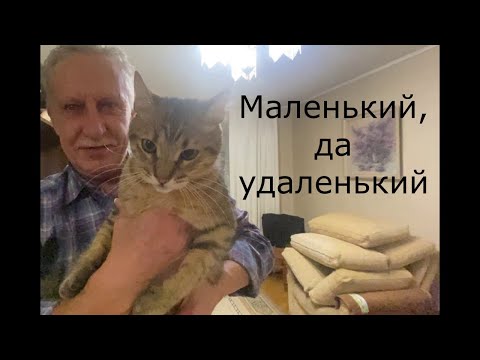 Ю.Р. "Маленький, да удаленький ... котик !»