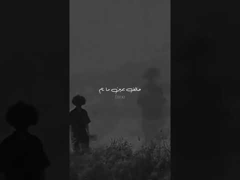 كل حدا مر علم فيني ندب ما مرو كرام الشامي