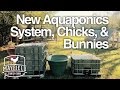 New Aquaponics System, Chicks, & Bunnies New Aquaponics System, Chicks, & Bunnies