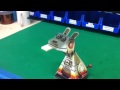 3D DOG ROBOT ILLUSION