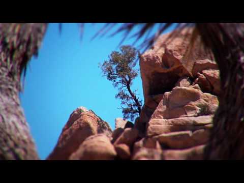 Path to Barker Dam - Joshua Tree National Forest